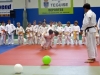 Exhib.-Peques-II